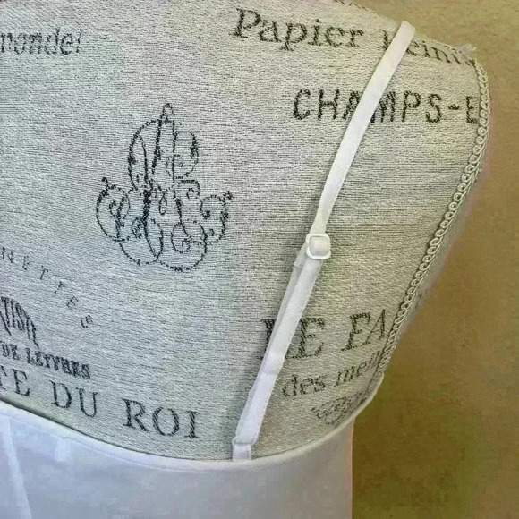 Frame Sheer Silk And Rayon V-Neck Off White Camisole Size XS EUC! - Picture 6 of 8